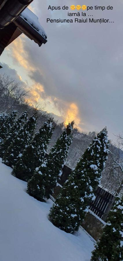 Pensiunea Raiul Muntilor Sebiş Esterno foto