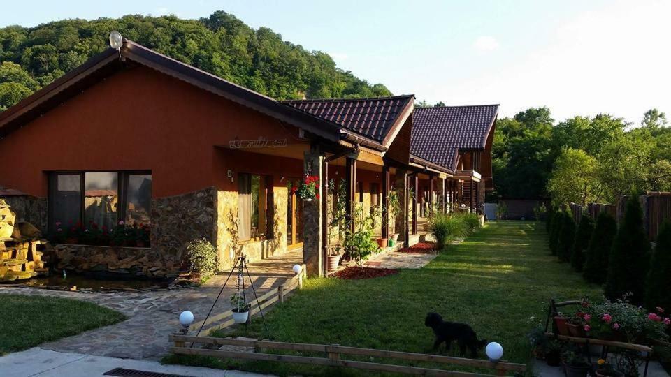Pensiunea Raiul Muntilor Sebiş Esterno foto