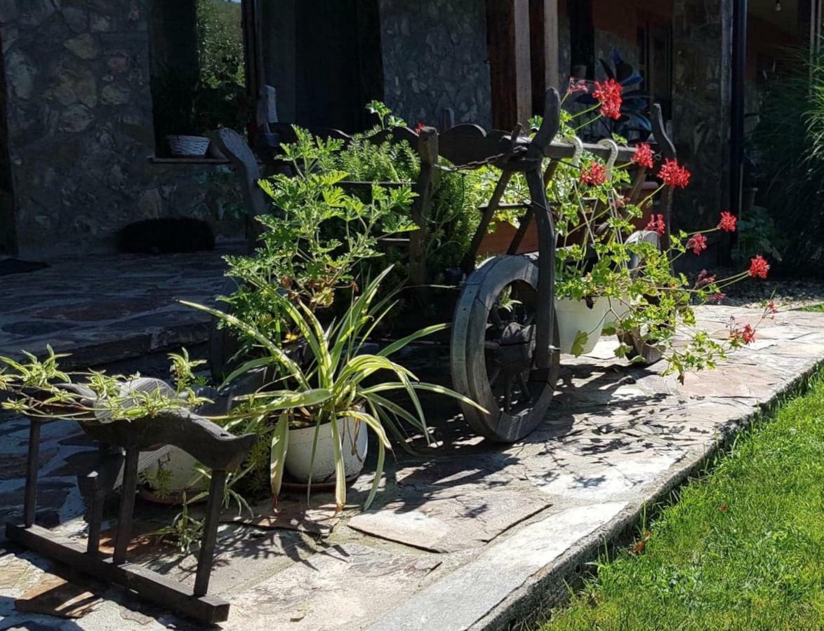Pensiunea Raiul Muntilor Sebiş Esterno foto